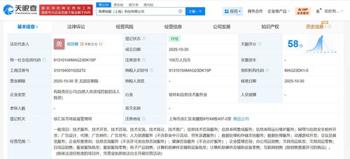 高德在上海成立銷服科技公司，注冊資本100萬，聚焦信息技術(shù)咨詢服務(wù)